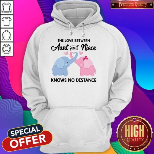 Elephant The Love Between Aunt And Niece Knows No Distance Hoodie