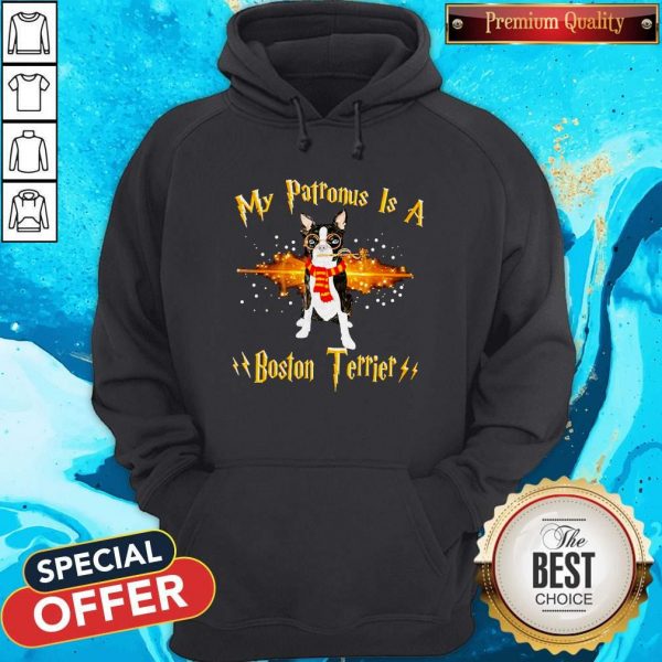 My Patronus Is A Boston Terrier Hoodie