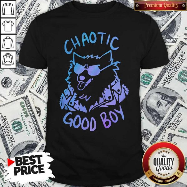 Nice Chaotic Good Boy Shirt
