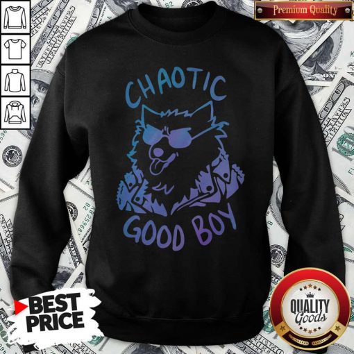 Nice Chaotic Good Boy Sweatshirt