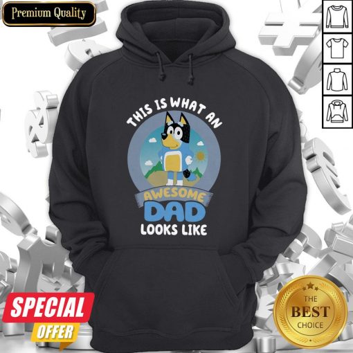Original Bluey Bandit This Is What An Awesome Dad Looks Like Hoodie