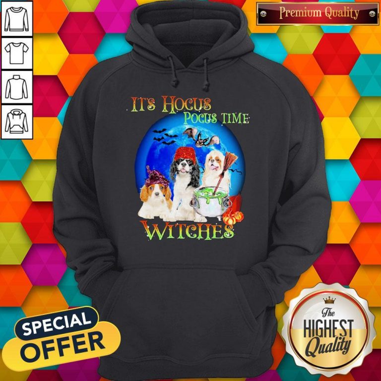 Shih Tzu Dogs It’s Hocus Pocus Time Witches Halloween Hoodie