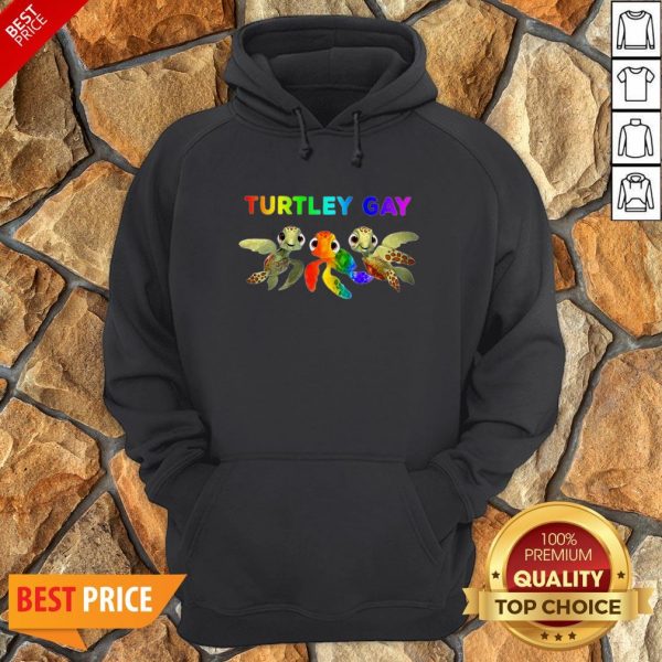 Nice LGBT Turtley Gay LGBT Month Hoodie