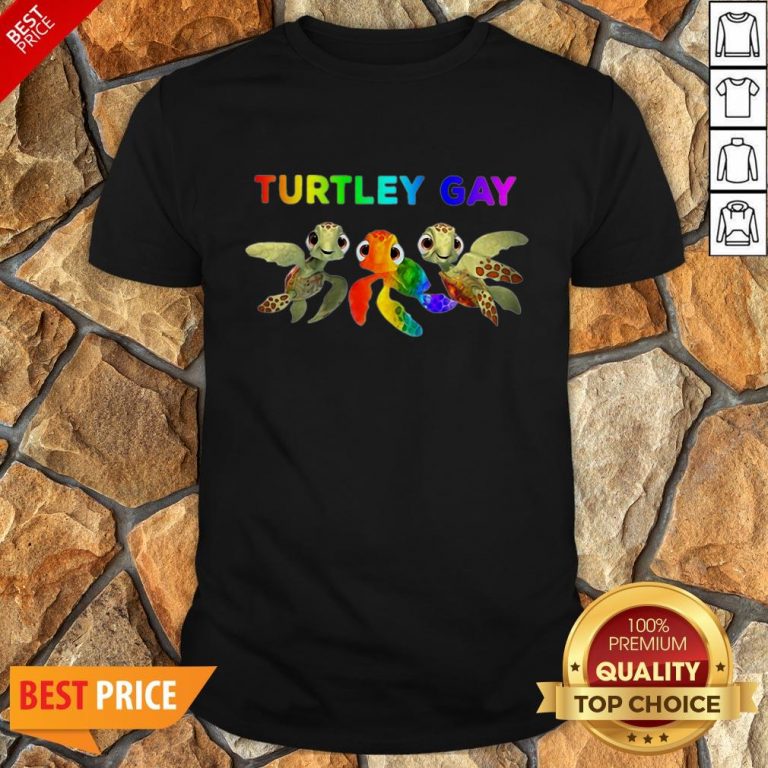 Nice LGBT Turtley Gay LGBT Month Shirt