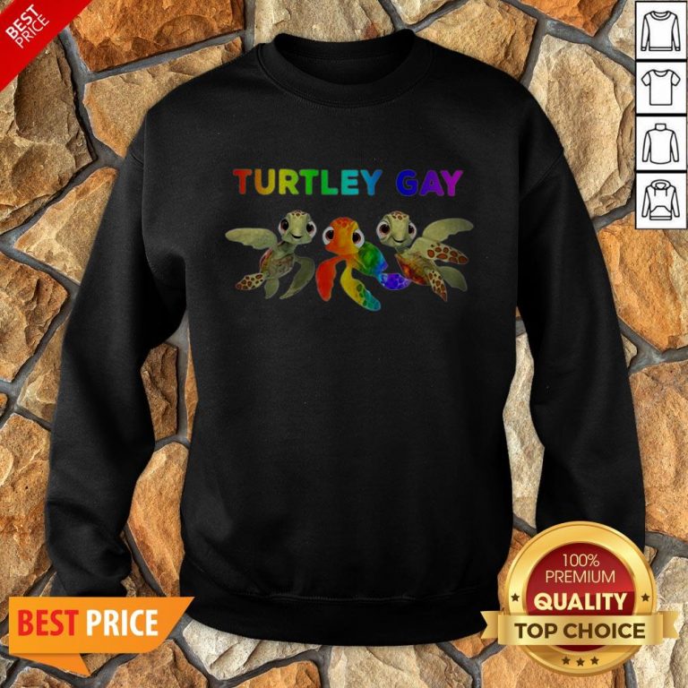 Nice LGBT Turtley Gay LGBT Month Sweatshirt