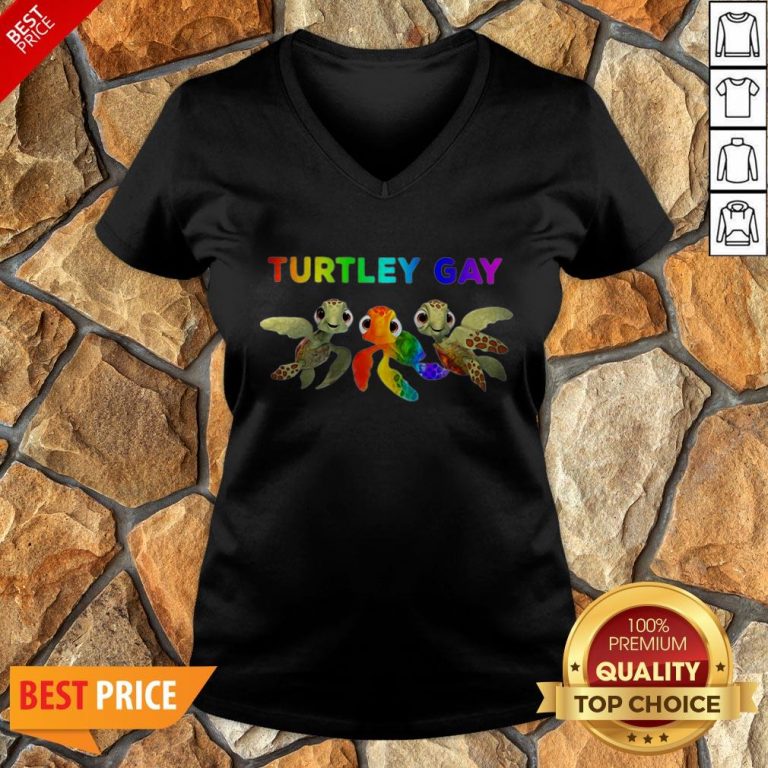 Nice LGBT Turtley Gay LGBT Month V-neck