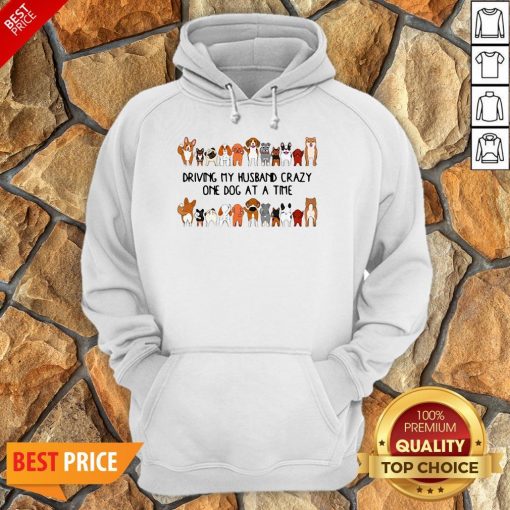 Driving My Husband Crazy One Dog At A Time Hoodie