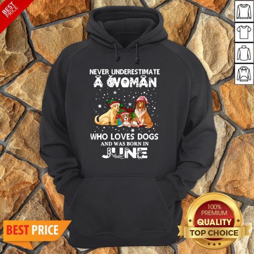 Never Underestimate A Woman Who Loves Dogs And Was Born In June Hoodie
