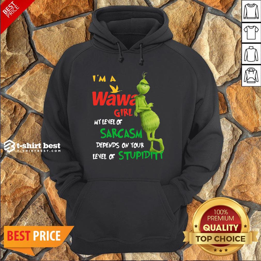 Grinch I’m A Wawa Girl My Level Of Sarcasm Depends On Your Level Of Stupidity Hoodie
