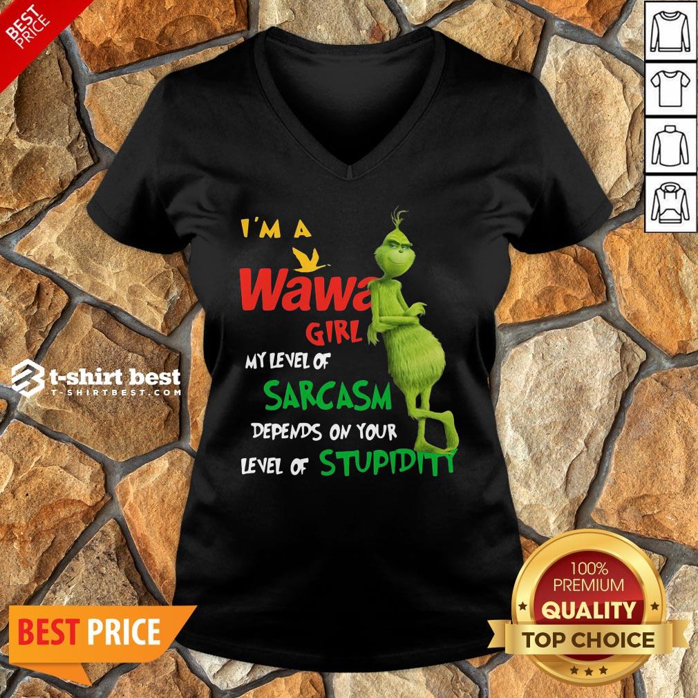 Grinch I’m A Wawa Girl My Level Of Sarcasm Depends On Your Level Of Stupidity V-neck