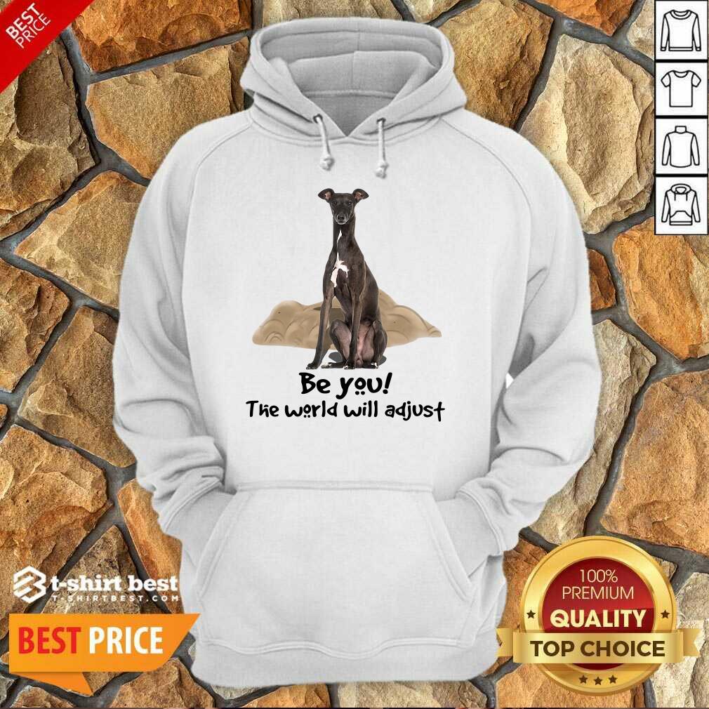 Top Greyhound Be You The World Will Adjust Hoodie