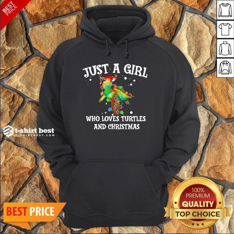 Top Just A Girl Who Loves Turtles And Christmas Hoodie