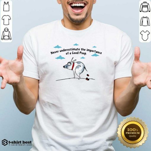 Never Underestimate The Importance Of A Good Poop Shirt - Design By 1tees.com