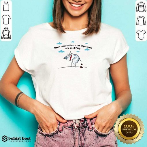 Never Underestimate The Importance Of A Good Poop V-neck - Design By 1tees.com