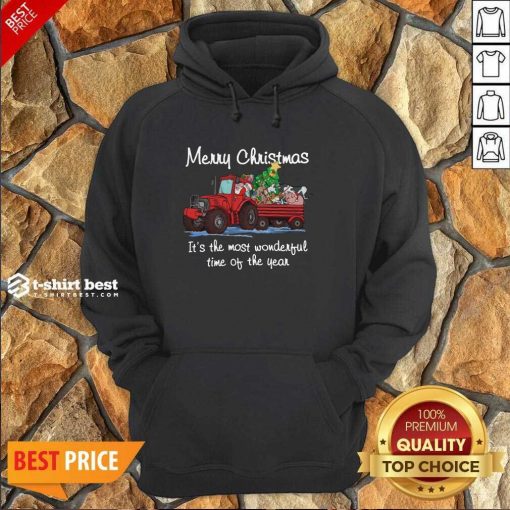 Santa Claus And Animal Merry Christmas It’s The Most Wonderful Time Of The Year Hoodie - Design By 1tees.com