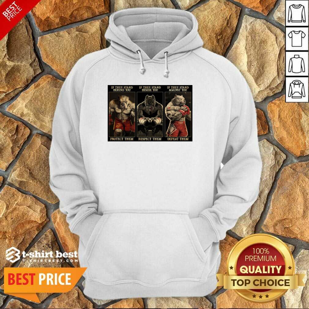Pitbull Boxing Protect Respect Defeat If They Stand Behind You Hoodie - Design By 1tees.com