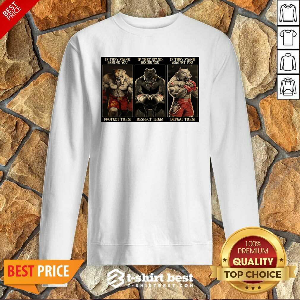 Pitbull Boxing Protect Respect Defeat If They Stand Behind You Sweatshirt - Design By 1tees.com