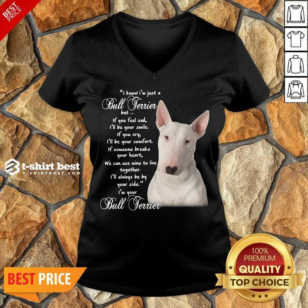 I Know I’m Just A Bull Terrier But If You Feel Sad V-neck - Design By 1tees.com