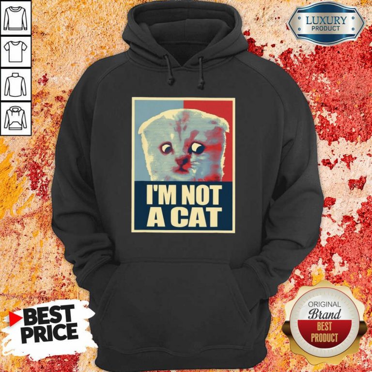 I'm Not A Cat Hoodie