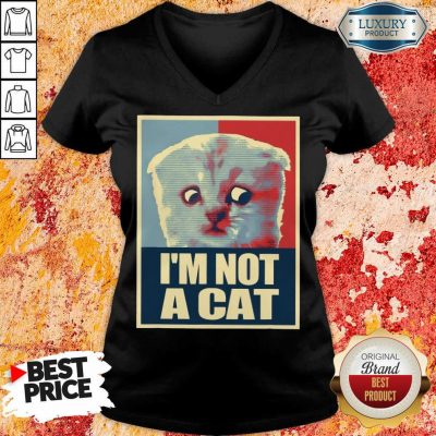 I'm Not A Cat V-neck